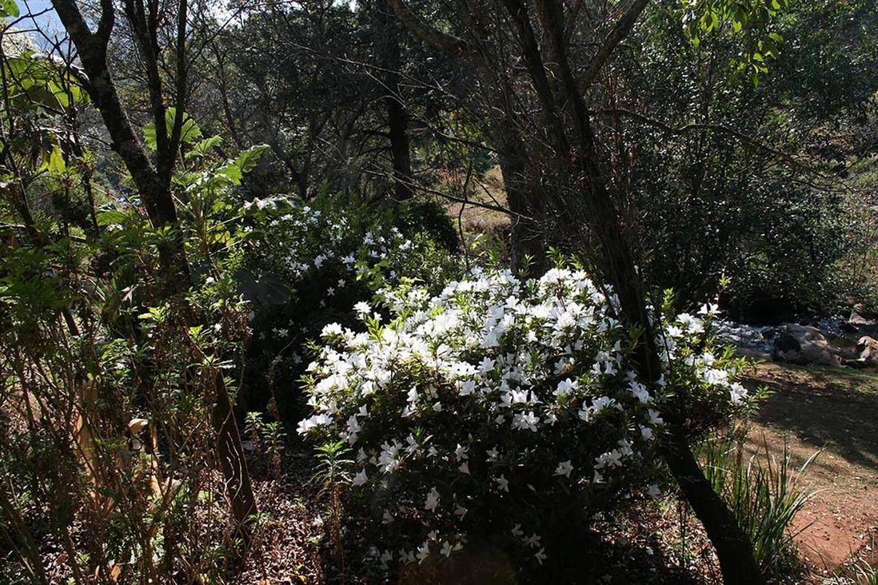 Sabie Star Βίλα Εξωτερικό φωτογραφία